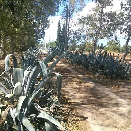 Country house Masseria Frassaniti *